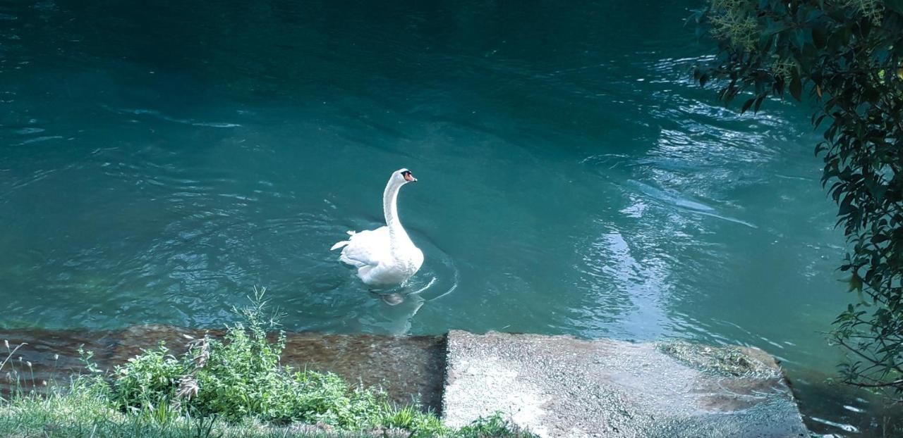Ampio Appartamento Vicino Al Centro Di Treviso, Parcheggio Gratuito Экстерьер фото